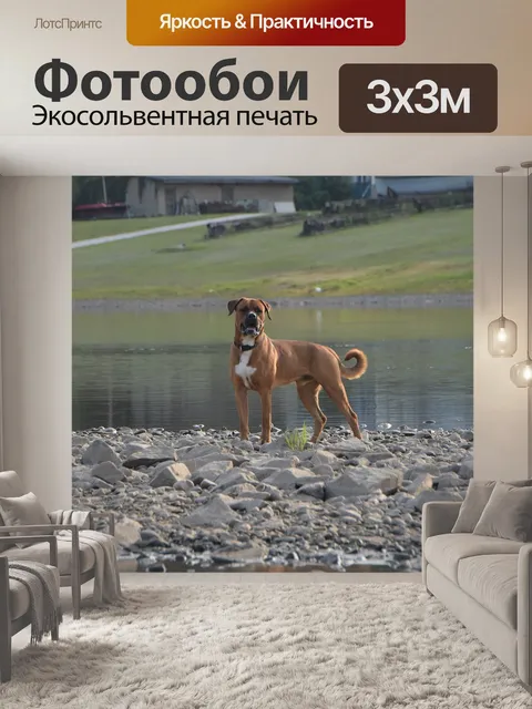 Фотообои Воды