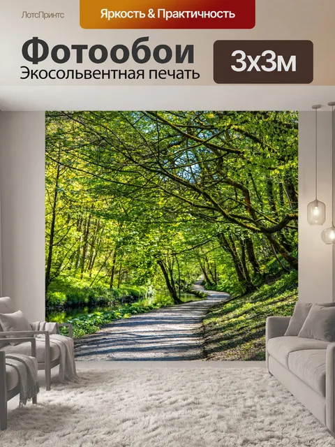 Фотообои Лес в Скиптоне