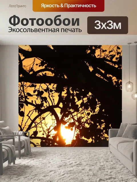Фотообои Деревья