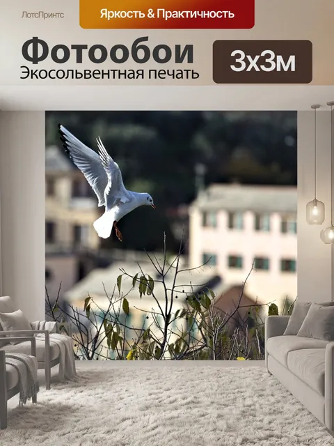 Фотообои Чайка
