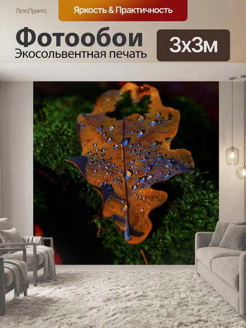 Фотообои Осень