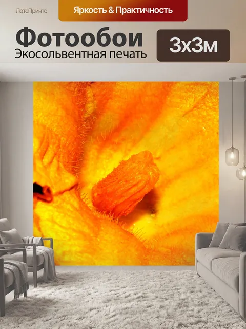 Фотообои Цветок ядро