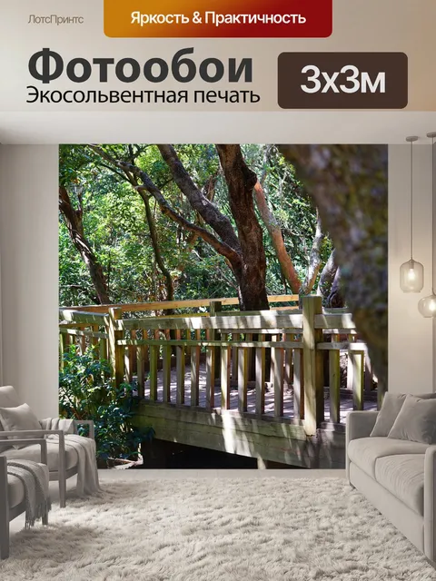 Фотообои Сеть