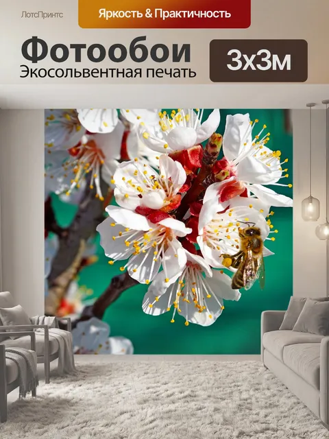Фотообои Природа