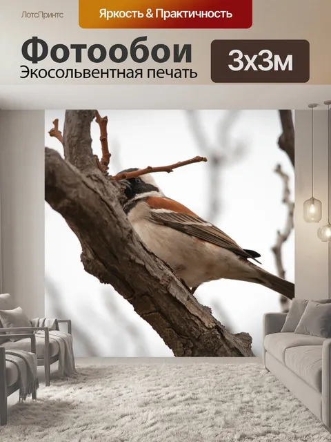 Фотообои Плащ-воробей в дереве