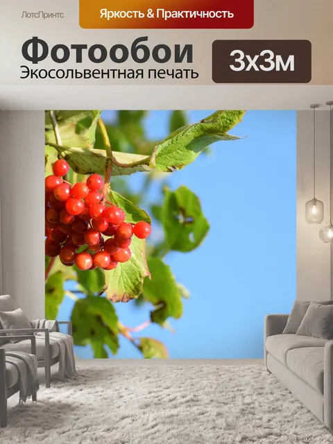 Фотообои Плоды