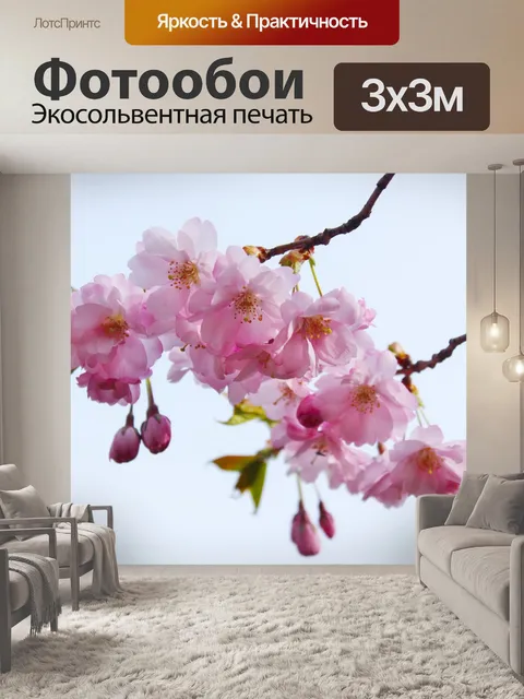 Фотообои Цветение вишни