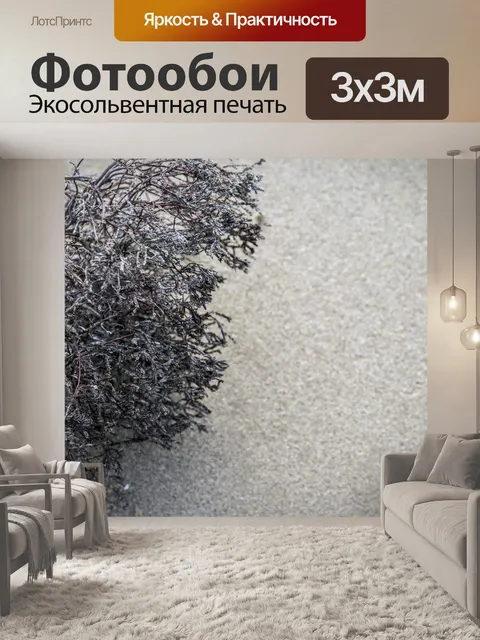 Фотообои Сухие растения на песке