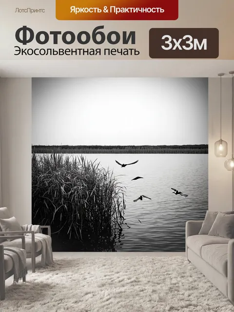 Фотообои озеро в черно-белом стиле, заросшие камышом берега и птицы, летающие над водой