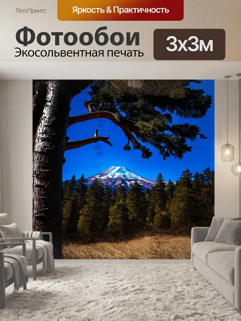 Фотообои могучее дерево, раскинувшее свои ветви под ярким голубым небом, устремляется к заснеженной горной вершине на…