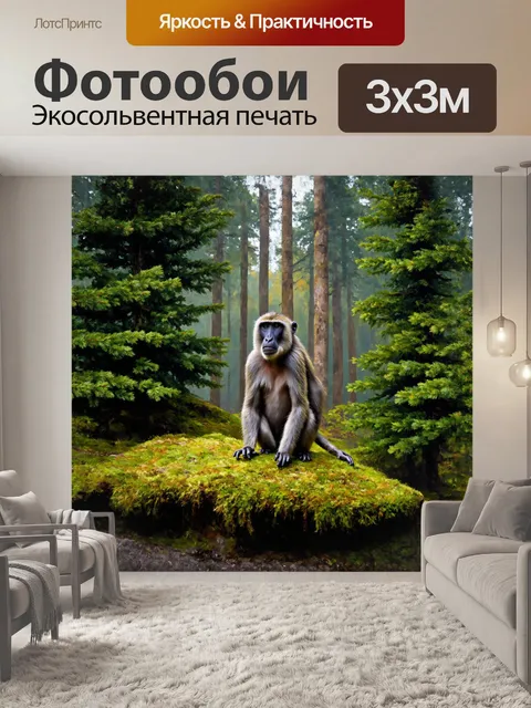 Фотообои на старом мохнатом камне, в окружении высоких елей, бабуин, обросший седой шерстью, задумчиво смотрит вдаль