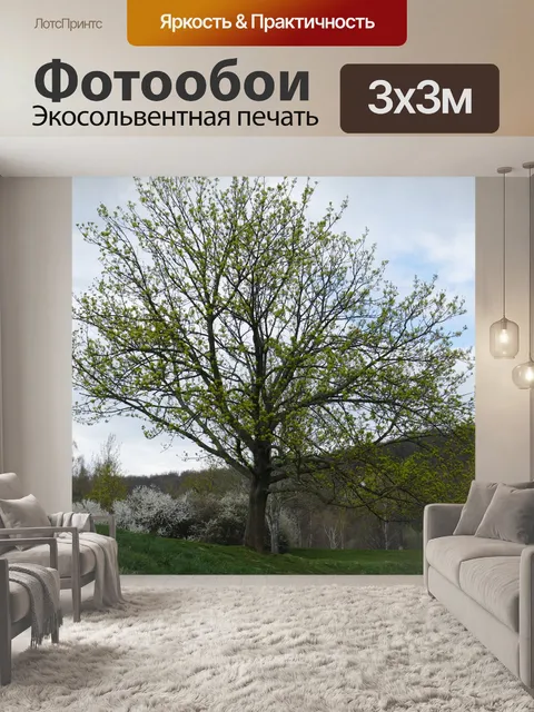 Фотообои Дерево