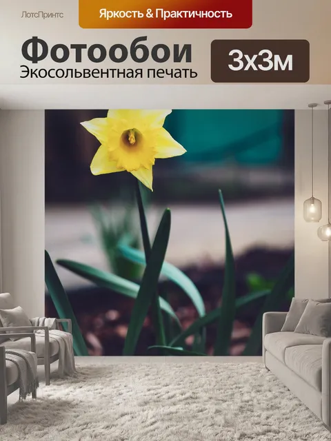 Фотообои Цветы