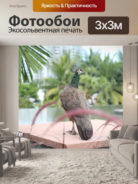 Фотообои Павлин на балкон