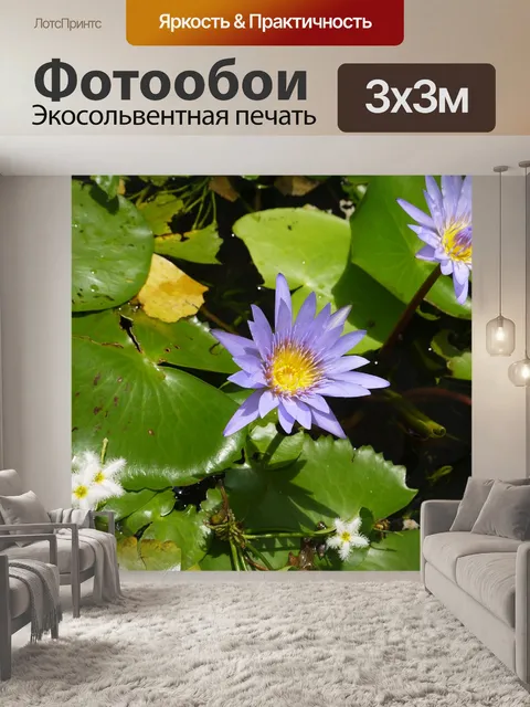 Фотообои Цветы