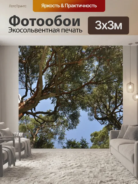 Фотообои Лес