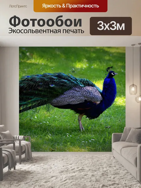 Фотообои Птица