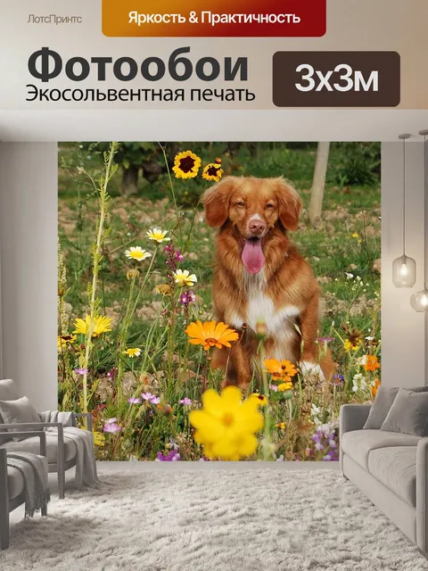 Фотообои Собака