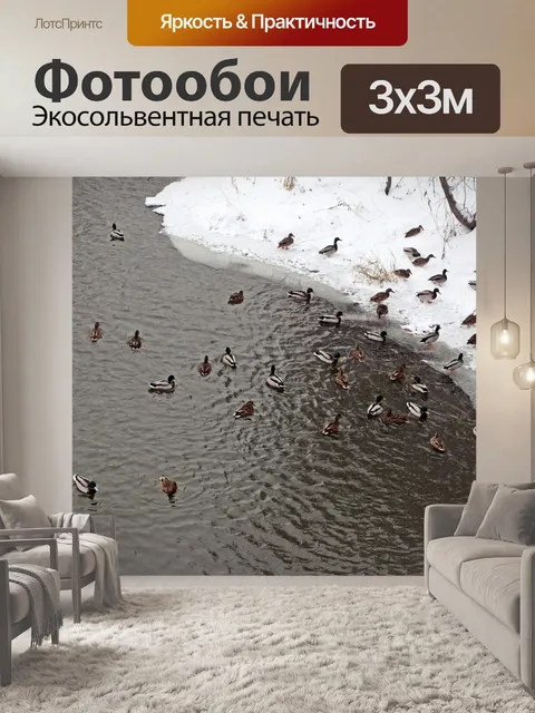 Фотообои Утки