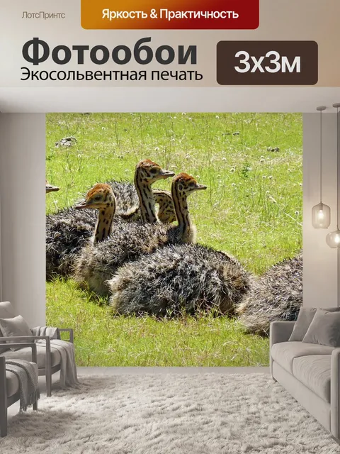 Фотообои Стросс babies