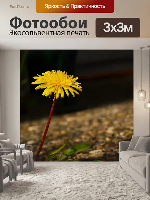 Фотообои Одуванчик