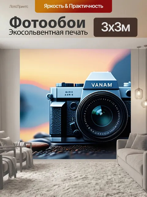 Фотообои с вандамом минимал