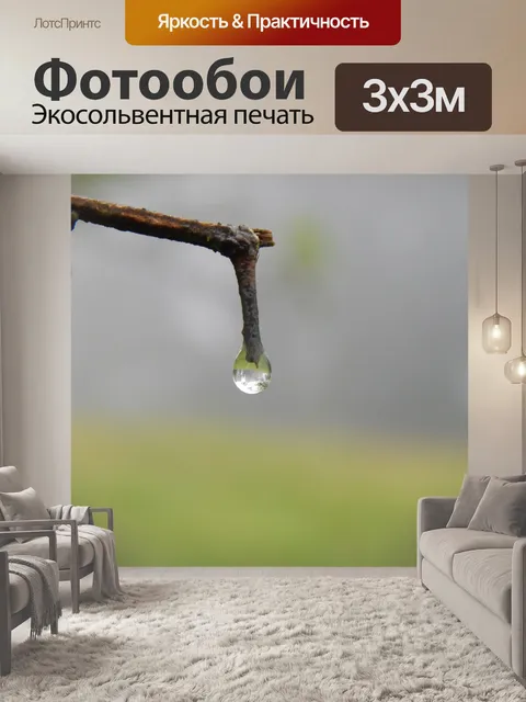 Фотообои Ветвь