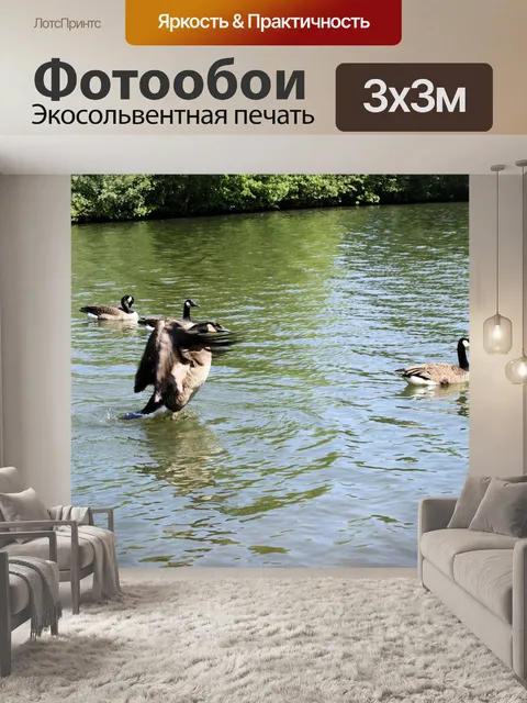 Фотообои Трясти