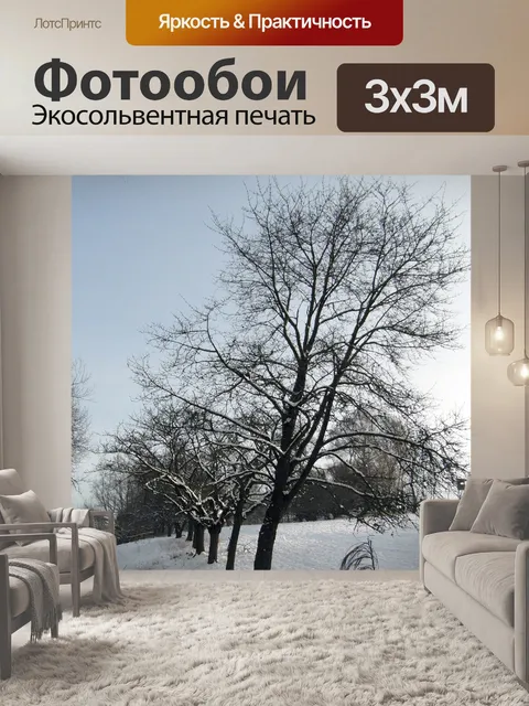 Фотообои Зима