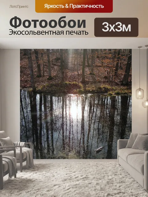 Фотообои Лес