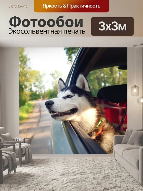 Фотообои Машина
