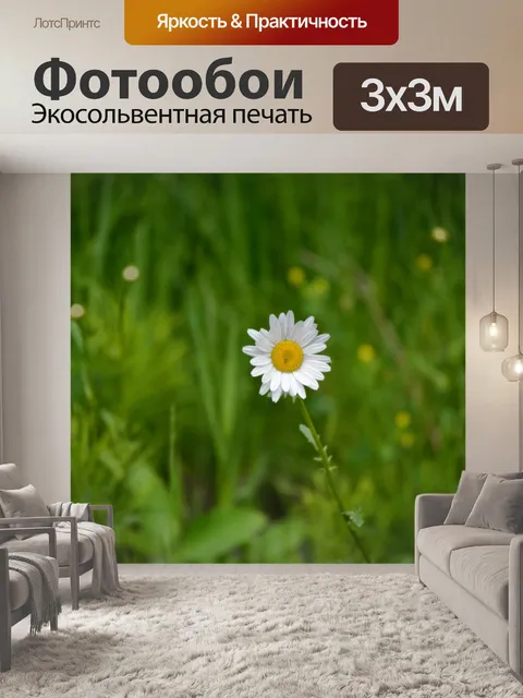 Фотообои Маргаритка в поле