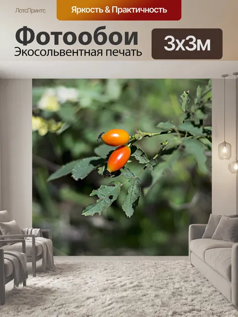 Фотообои Осень приходит