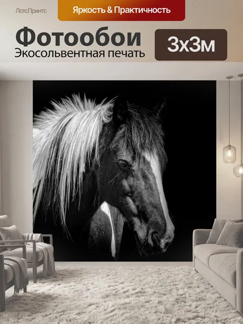 Фотообои Лошадь