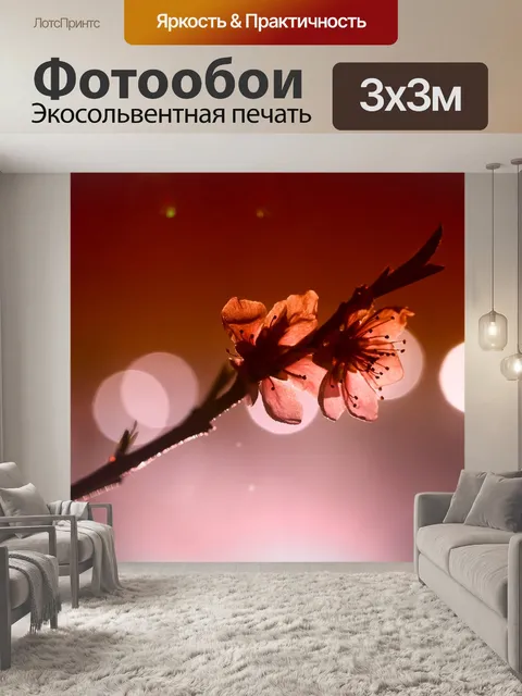 Фотообои Персиковый цвет