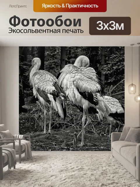Фотообои Аист