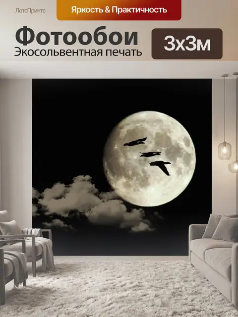 Фотообои Луна