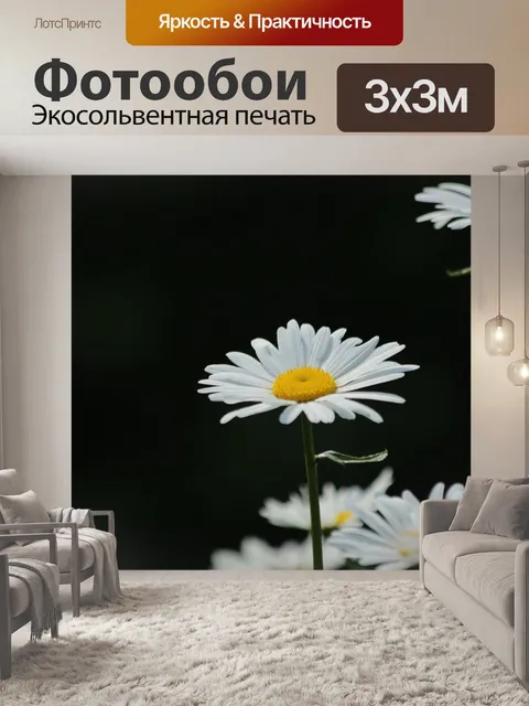 Фотообои Ромашки