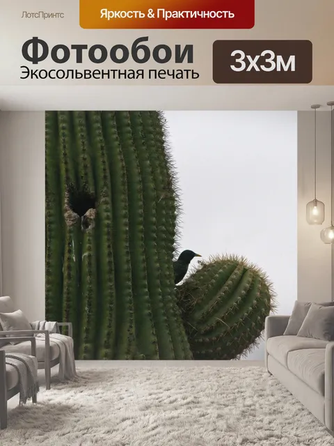 Фотообои Птица в Сагуаро Кактус