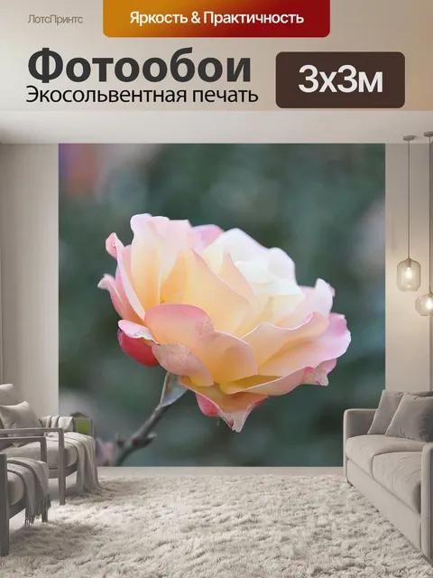 Фотообои Розы