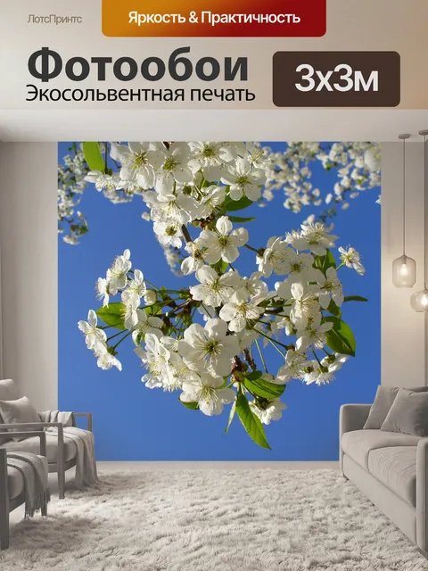 Фотообои Цветы
