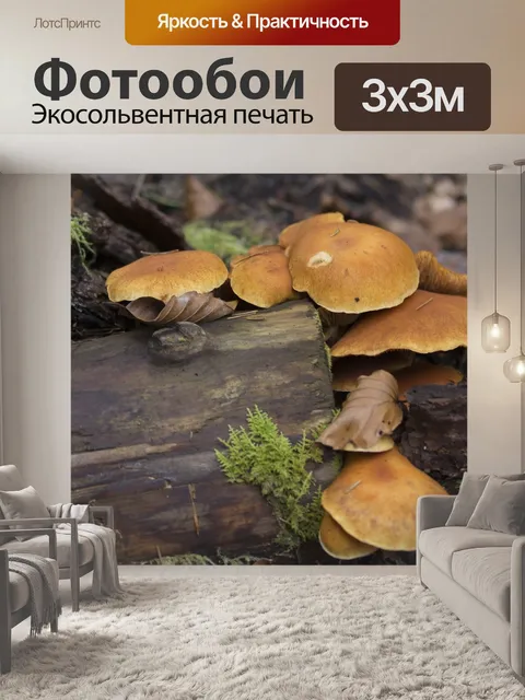 Фотообои Лес