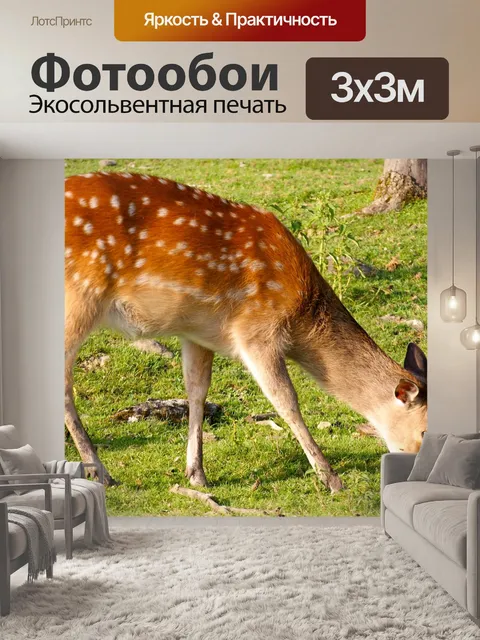 Фотообои Олень