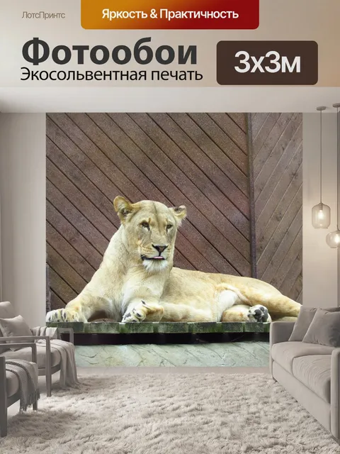 Фотообои Львица