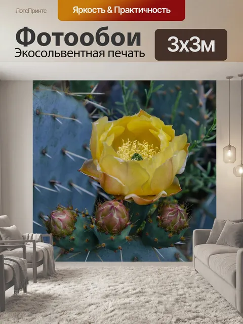 Фотообои Цветок