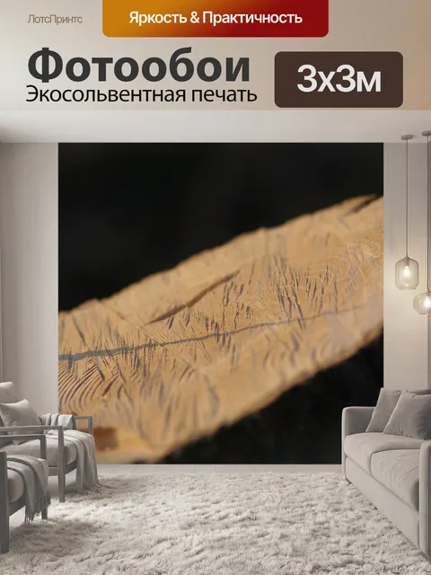 Фотообои Напиток