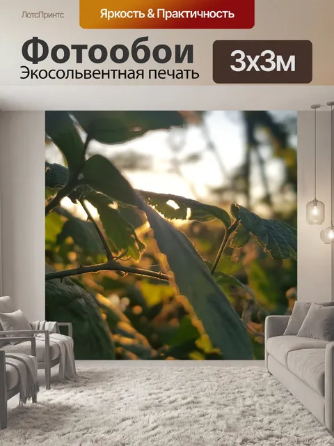 Фотообои Зеленые листья