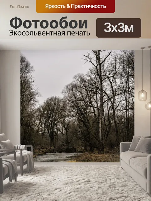 Фотообои Лес