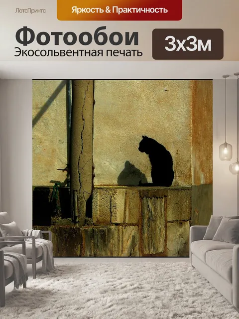 Фотообои Кот
