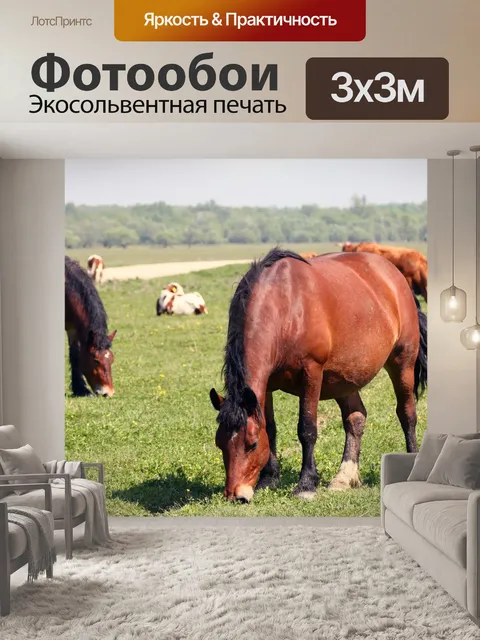 Фотообои Лошади